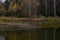 Autumn forest on the banks of the river. In the water, tall grass and trees are reflected. Green grass adorns the picturesque