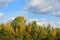 Autumn forest with blue sky and clouds in Austria