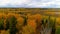 Autumn forest bright orange yellow red color air view copter drone in Russia.