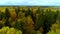 Autumn forest fall bright yellow color air aerial view copter drone in Russia.