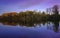 Autumn Forest Foliage Landscape over the Pond with Symmetrical Reflections on Blue Water with Water Plants