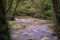 Autumn in the forest of Gradac River in Serbia