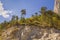 Autumn forest growing on rocky mountain slopes. Bottom view.Northern Caucasus