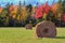 Autumn forest Hay Bales