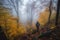 autumn forest hike with crunching leaves and misty fog