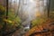 autumn forest hike with view of cascading waterfall and misty stream