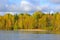 Autumn forest on the lake.