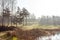 Autumn forest lake abandoned in Belarus