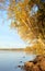 Autumn forest on the lake at sunrise.