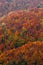 Autumn forest, many trees in the orange hills, orange oak, yellow birch, green spruce, Bohemian Switzerland National Park, Czech R