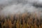 Autumn forest mountain landscape dolomiti mountains Italy