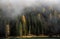 Autumn forest mountain landscape dolomiti mountains Italy