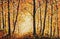 Autumn forest painting Collection of designer oil painting Modern art