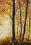 Autumn forest painting Collection of designer oil painting Modern art