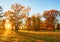 Autumn forest panorama in park