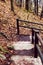 Autumn forest park stair scene. Autumn fog forest stairway. Forest stairway in autumn forest mist scene. Autumn stairway in park
