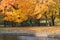 Autumn forest and pond in Park zone. Colorful november background i