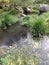 Autumn forest river creek landscape. River creek in autumn park. Autumn park river creek