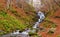 Autumn forest with river and waterfall