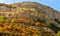 Autumn Forest on rocky Mountain hill colorful seasonal Landscape