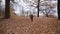 Autumn forest, running children