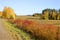 Autumn forest in Russia on the  Kama river