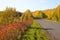 Autumn forest in Russia on the  Kama river