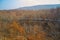 Autumn forest, Safari Park, it highest bridge to walking people.