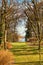 Autumn forest in Schwerin with a view of the lazy lake