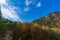 Autumn forest on the slopes of the mountains.