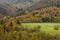 Autumn forest textures - in the Slovakian mountains