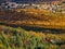 Autumn Forest and Town Vista