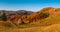 Autumn forest trees in the mountains panorama trees in the mountains Meadow with haystack