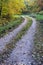 Autumn forest, turn of the forest path, desert road in autumn park