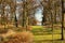 Autumn forest with a view of the Lazy Lake in Schwerin