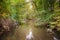 Autumn in the forest with water ditches and canals by Voorsterbos, Waterloopbos, Marknesse Flevoland, Netherlands