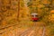 Autumn forest through which the tram travels, Kyiv and rails