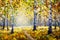 Autumn forest, white birch trees in autumn forest, golden autumn, orange autumn nature. Road in the autumn forest. Green meadow gr