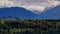 Autumn forests alps in view