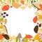 Autumn frame of forest mushrooms, berries and leaves isolated on white background. Vector illustration in cartoon style