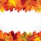 Autumn frame with leaves. Fall leaf seamless border