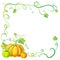 Autumn frame with pumpkins and vines, leaves and place for text. Thanksgiving, halloween or corn festival card template