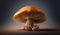 Autumn freshness edible mushroom in organic forest ,generative AI