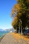 Autumn front lake with yellow leaves on ground, Lake Como in fall, Italy