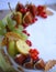 Autumn fruit apple, pear,fig,pomegranate, viburnum