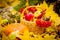 Autumn fruits, bright leaves, still-life, red apple, yellow leaves, basket with vegetables