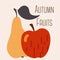 Autumn fruits pear and apple. Vector illustration set. EPS10