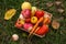 Autumn fruits and vegetables in basket in grass. Harvest in garden