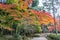 Autumn garden and forest in Daigoji temple. Kyoto, Japan