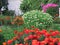 Autumn garden: marigolds, white and pink phlox, sedum